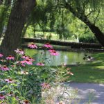 Nature’s Cove ～自然療法のセラピー＆教室～ 