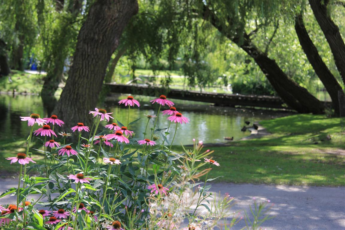 Nature’s Cove ～自然療法のセラピー＆教室～