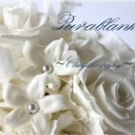 Pura blanka ～claytherapy～ 