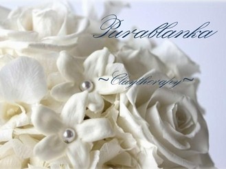 Pura blanka ～claytherapy～