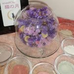 aroma＆clay salon 小さな小さな猫の月 