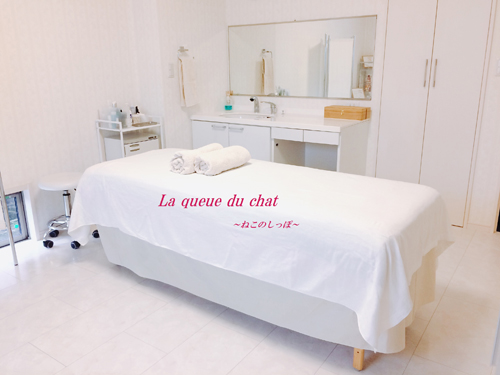 La queue du chat～ねこのしっぽ