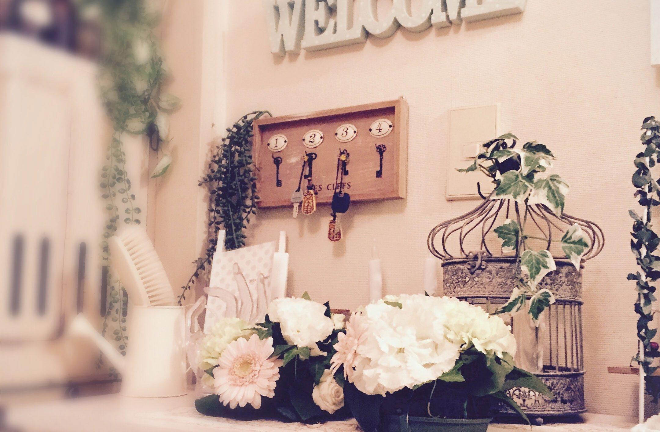 玄関の消臭・除湿にはコレ！オーガニックな素材で簡単に！