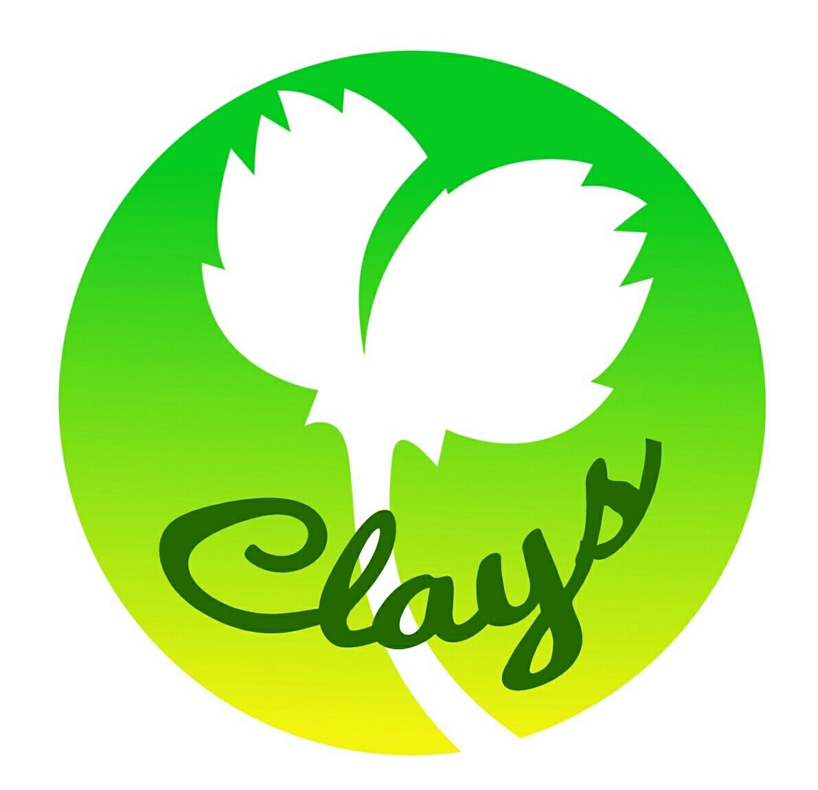 Claysヒーリングクレイサロン