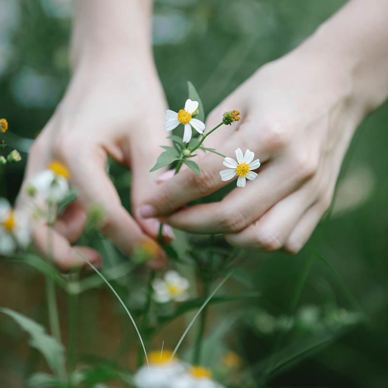 令和6年能登半島地震による郵便の遅延と「ICAの自然災害の際の対応」のお知らせ